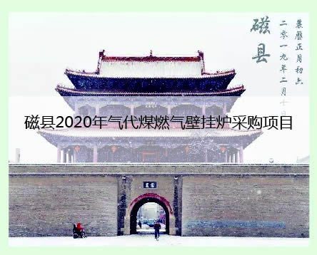 邯鄲磁縣工程案例